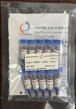 4×蛋白上樣緩沖（非變性，非還原）