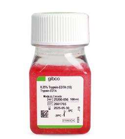 胰酶細(xì)胞消化液（0.25%胰酶，含EDTA，含酚紅）Gibco